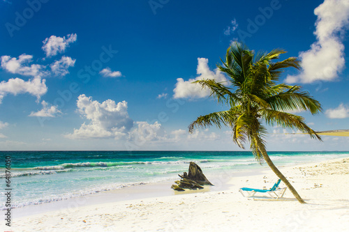 plage paradisiaque de sable blanc et cocotier par une journ  e ensoleill  e
