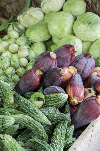 Fresh vegetables on the market