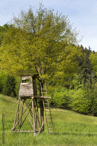 Hochsitz oder Jagdkanzel im Sommer photo