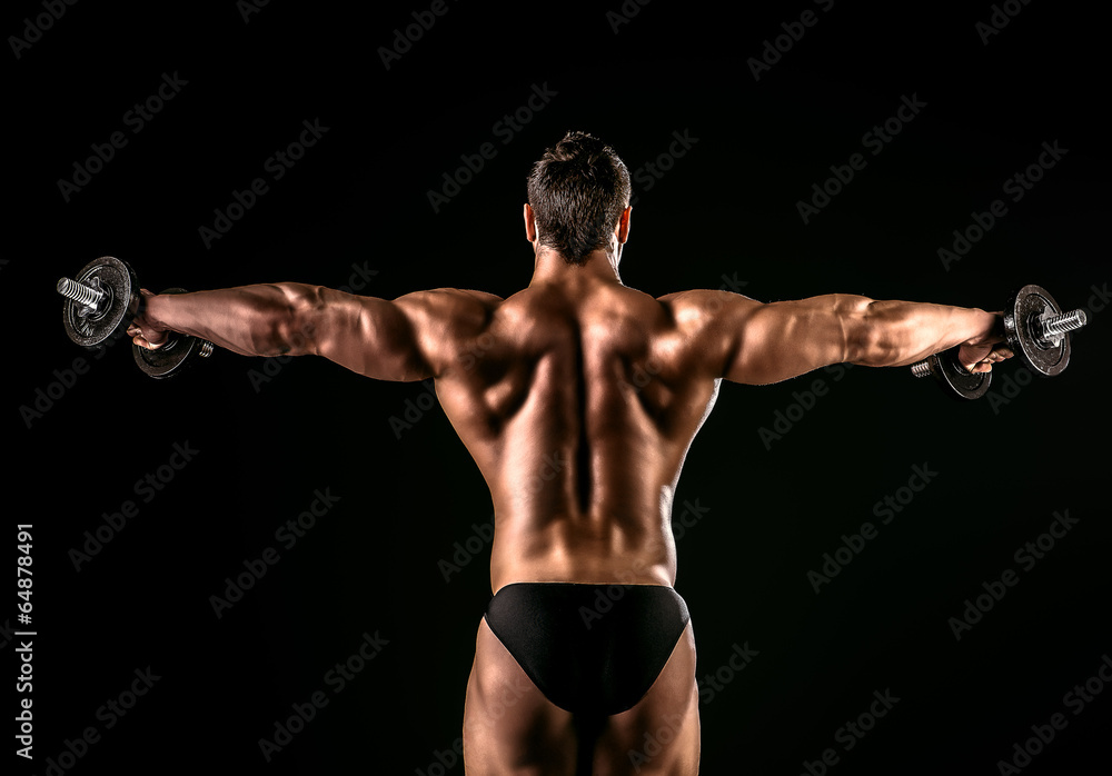 back muscles back muscles