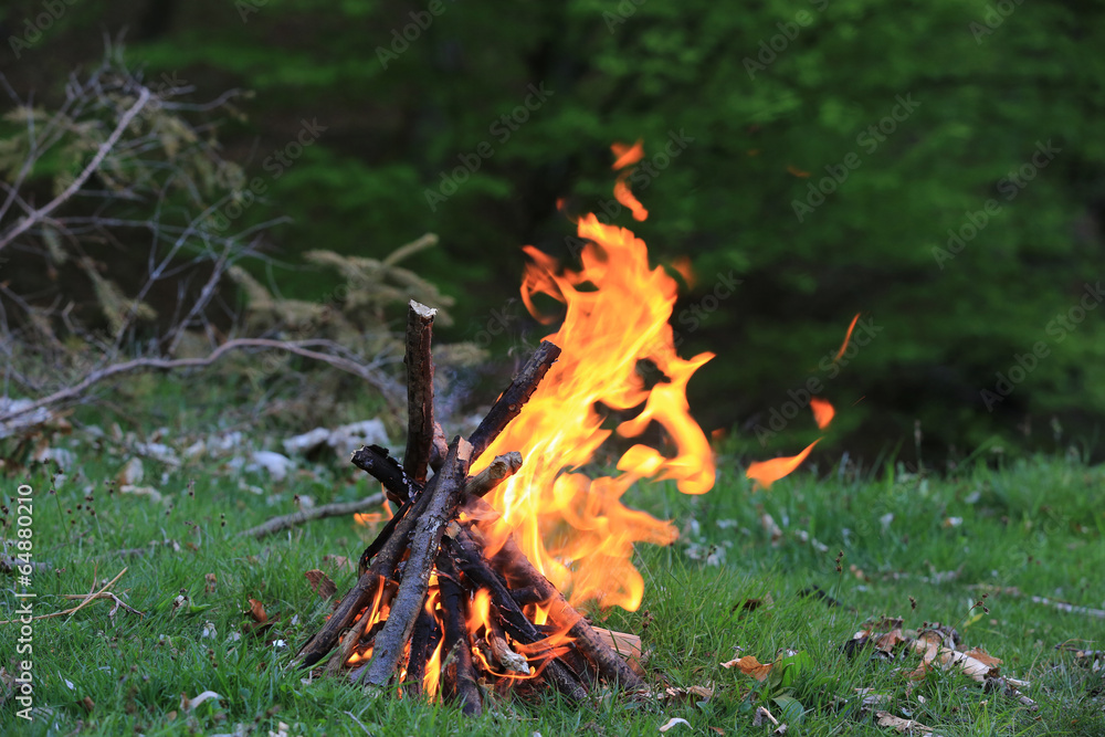 flame of campfire flame of campfire