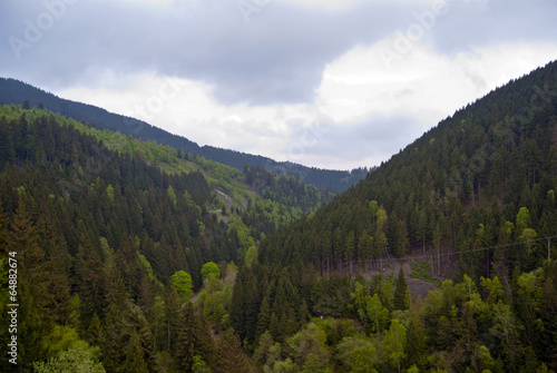 Aussicht Harz