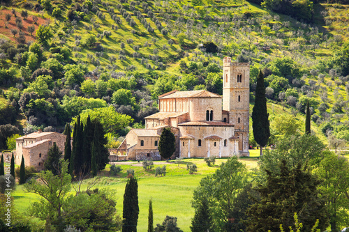 Sant Antimo Montalcino church and olive tree. Orcia, Tuscany, It photo