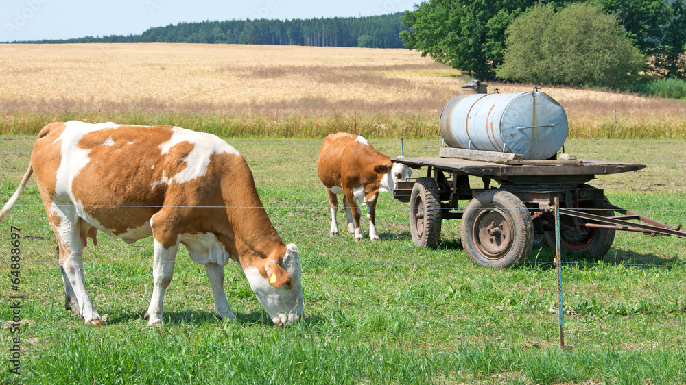 Obraz premium Landwirtschaft