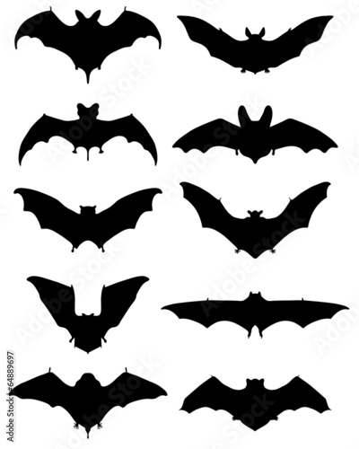 Black silhouettes of different bats, vector illustration