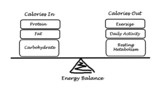 Balance between Energy intake and Energy expenditure