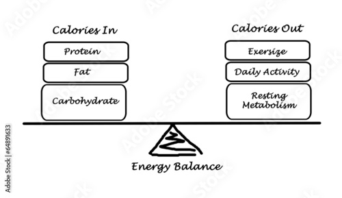 Canvas Print Balance between Energy intake and Energy expenditure