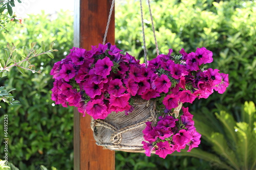 Fioriera appesa al gazebo.