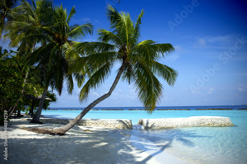Beautiful beach in the Maldives © kubikactive