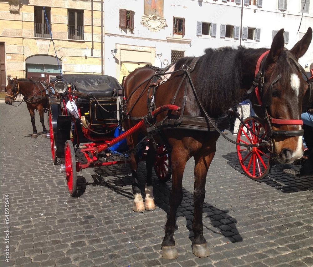 Botticelle romane