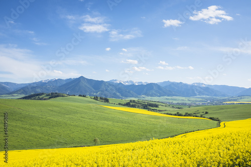 Farm in spring