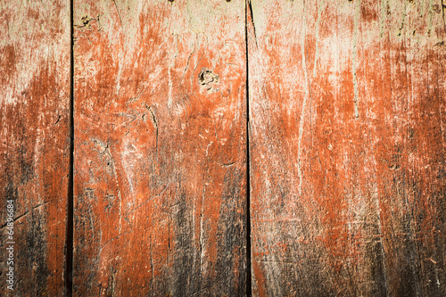Tableau sur toile Rust door