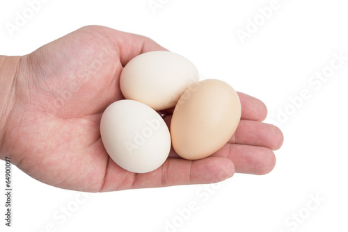 hand holding eggs with clipping path