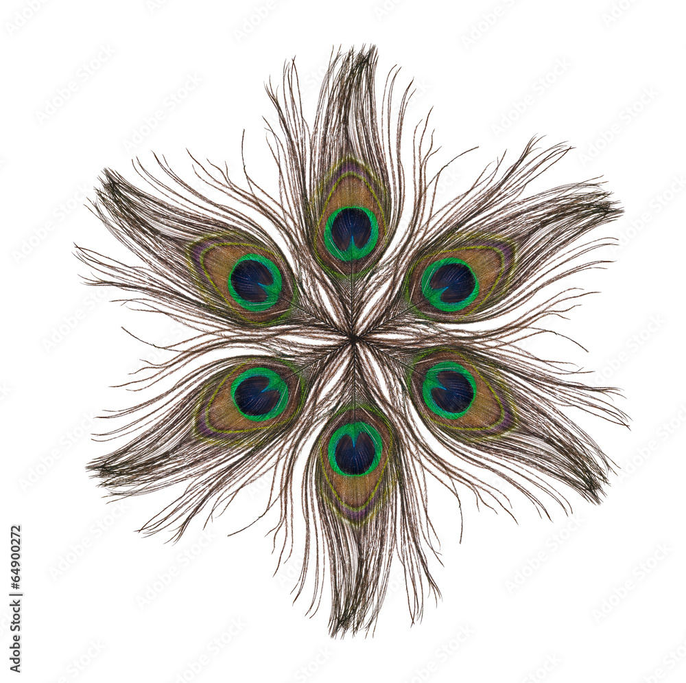 Fototapeta premium star from peacock feathers isolated on white
