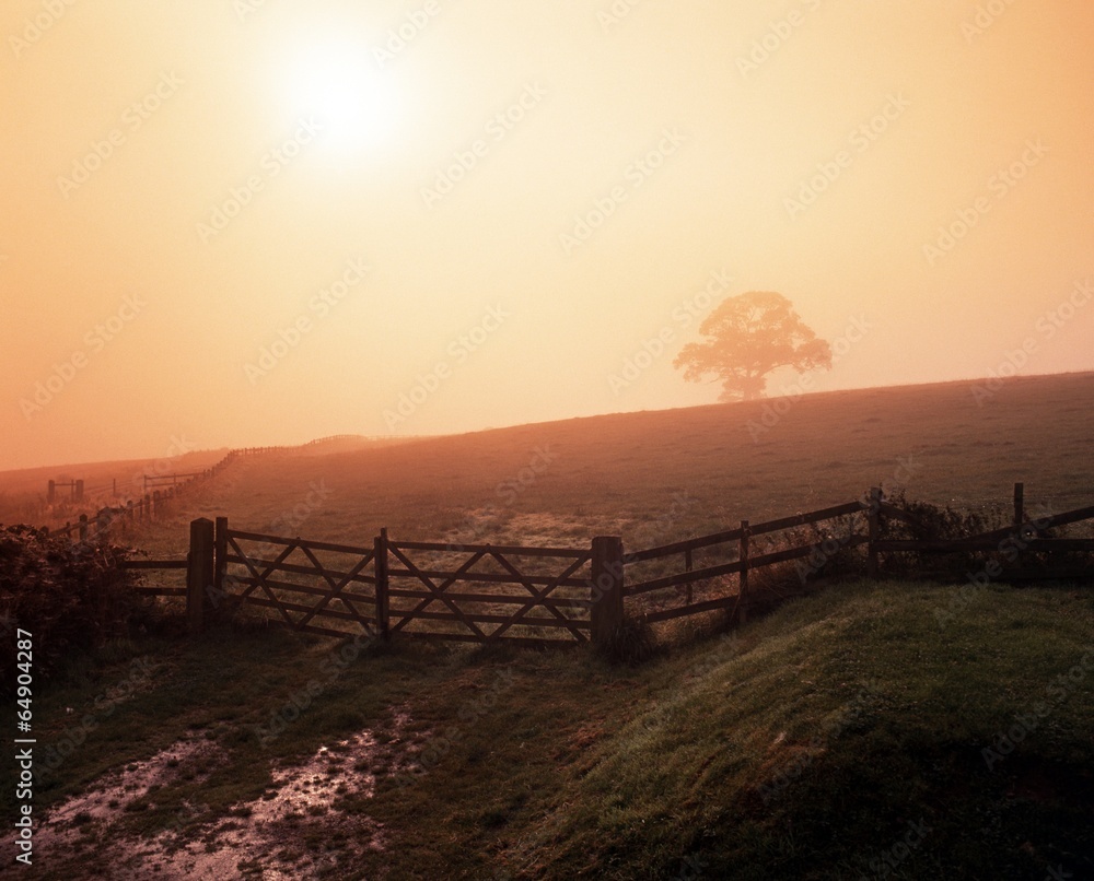 Misty morning near Blithbury, England © Arena Photo UK