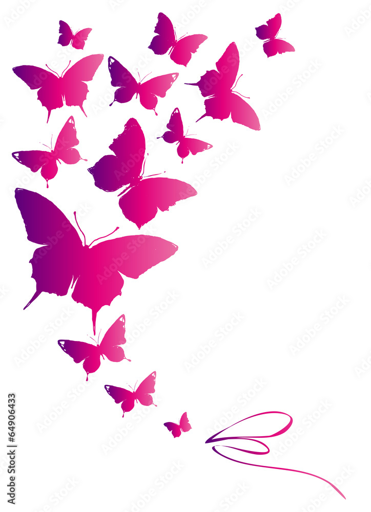 butterflies design butterflies design