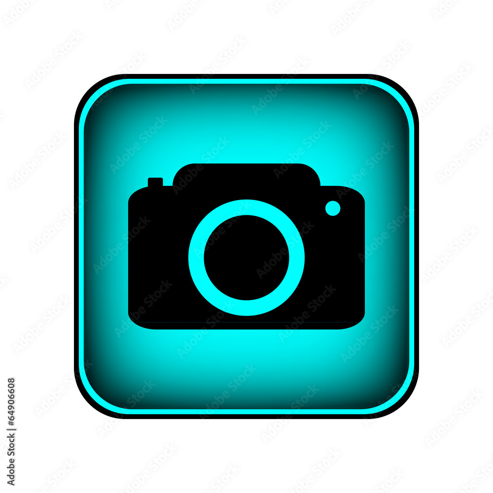 Camera button Camera button