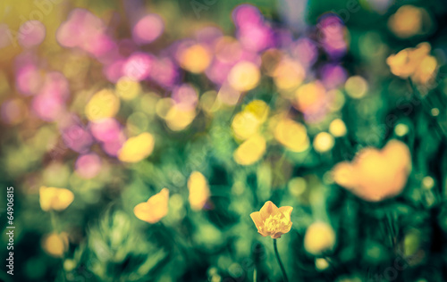 Dreamy flowers bokeh with lens flare