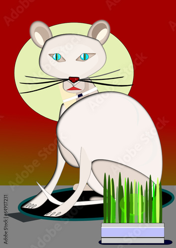 Hierba gatera para gatos