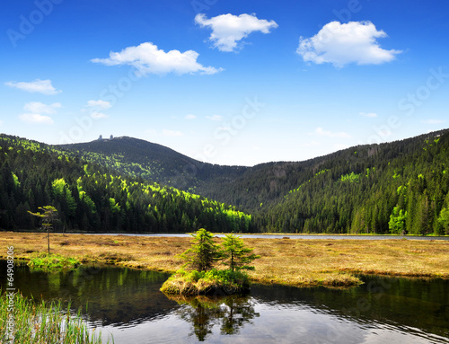 Small Arber Lake in National Park Bavarian Forest - Germany