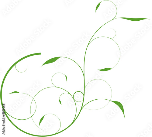 Florales