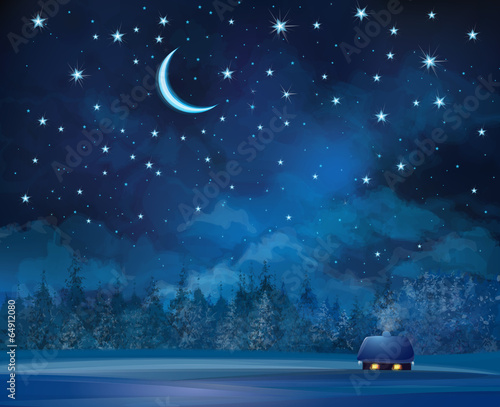 Vector night scene with house  on starry sky background and fore