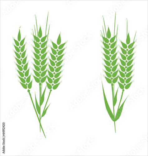 Wheat design