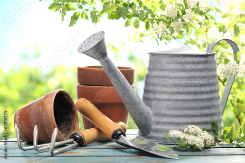 Fototapeta Naklejka Na Ścianę i Meble -  Outdoor gardening tools