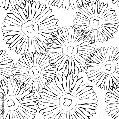 Vector black and white floral background Seamless pattern