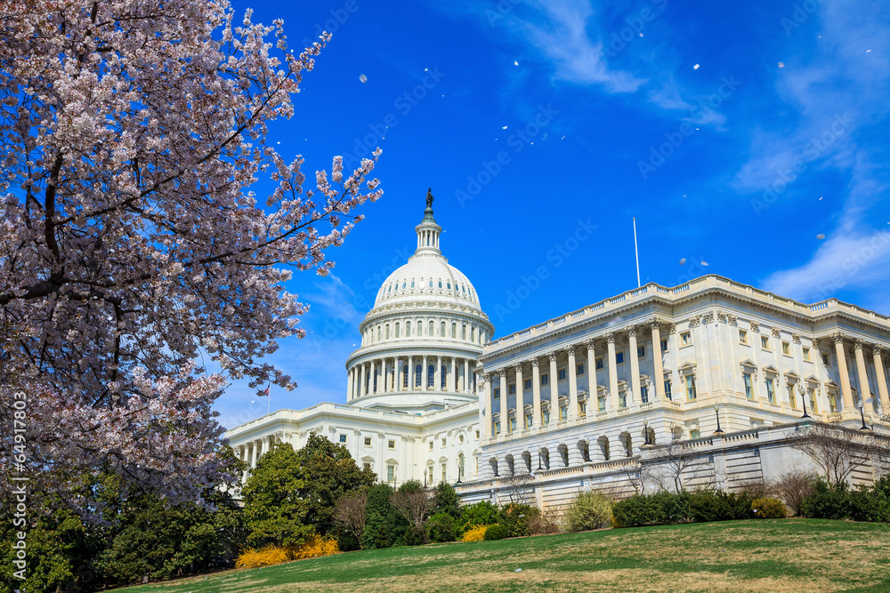 US Capitol Building - Washington DC United States