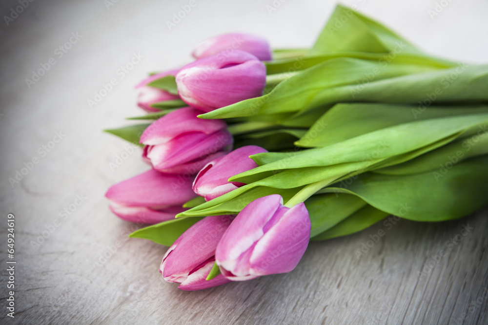 Tulpen Tulpen