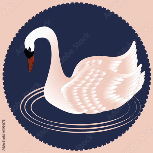 Schwan Im Kreis