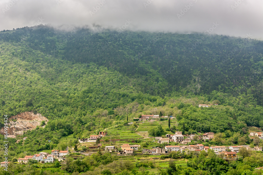A town surrounded with forest on a mountain slope