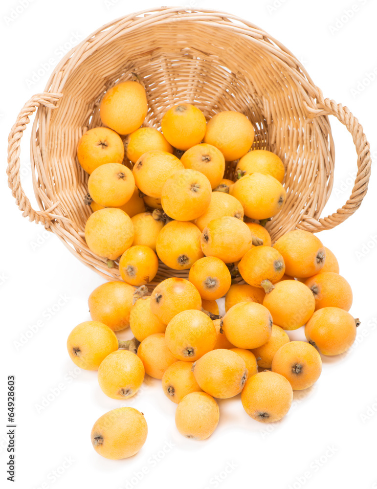 Loquat  fruits