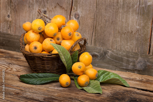 Fruits of loquat tree