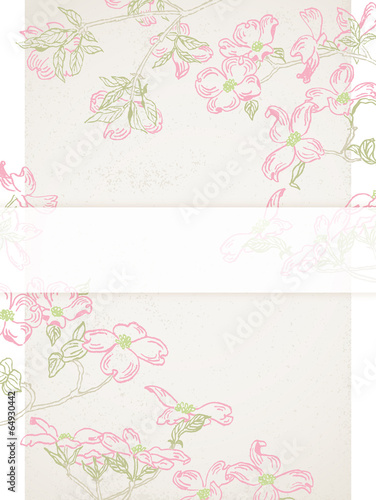 ハナミズキDogwood