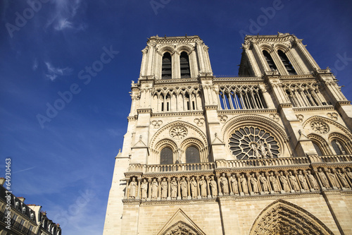 パリ ノートルダム寺院を見上げる Cathédrale Notre-Dame de Paris