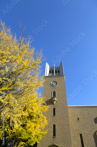 500_F_64930694_QsAJQpBCsMWCFJi