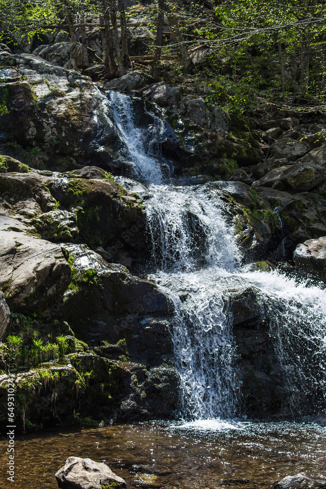 Obraz premium Small waterfall amid Virginia mountain forest