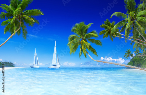 Sailboats on beach and palm tree