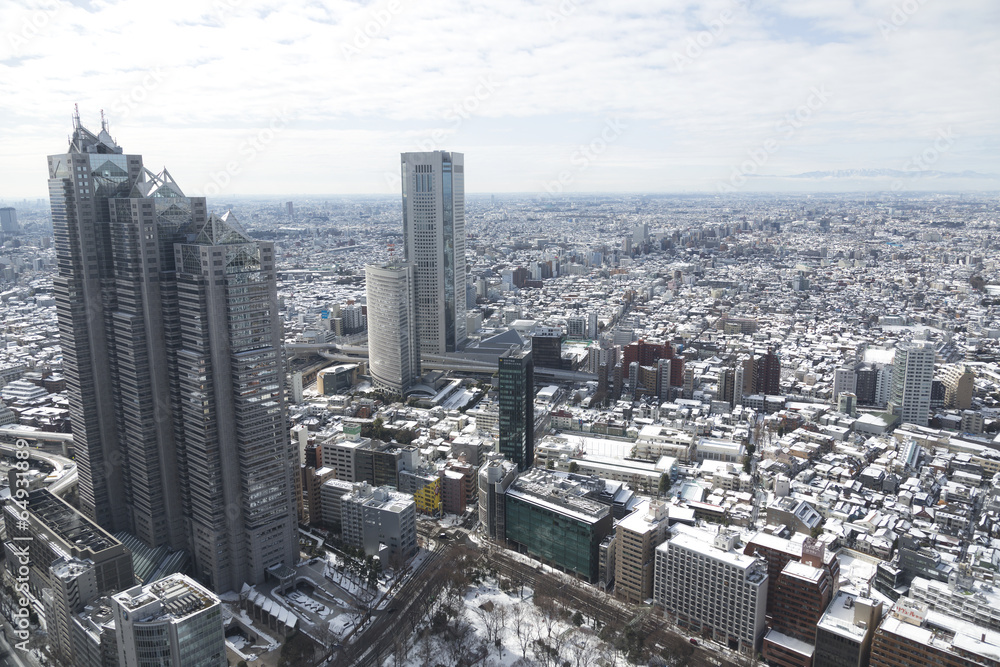 大雪の翌日　雪化粧した新宿高層ビル街と東京の街並（記録素材写真）
