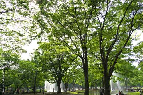 新緑休日の代々木公園イメージ