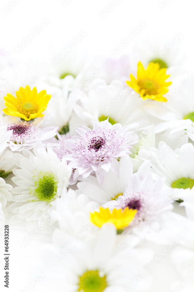 Fototapeta premium 仏花 献花 お供えの花 お悔やみの花