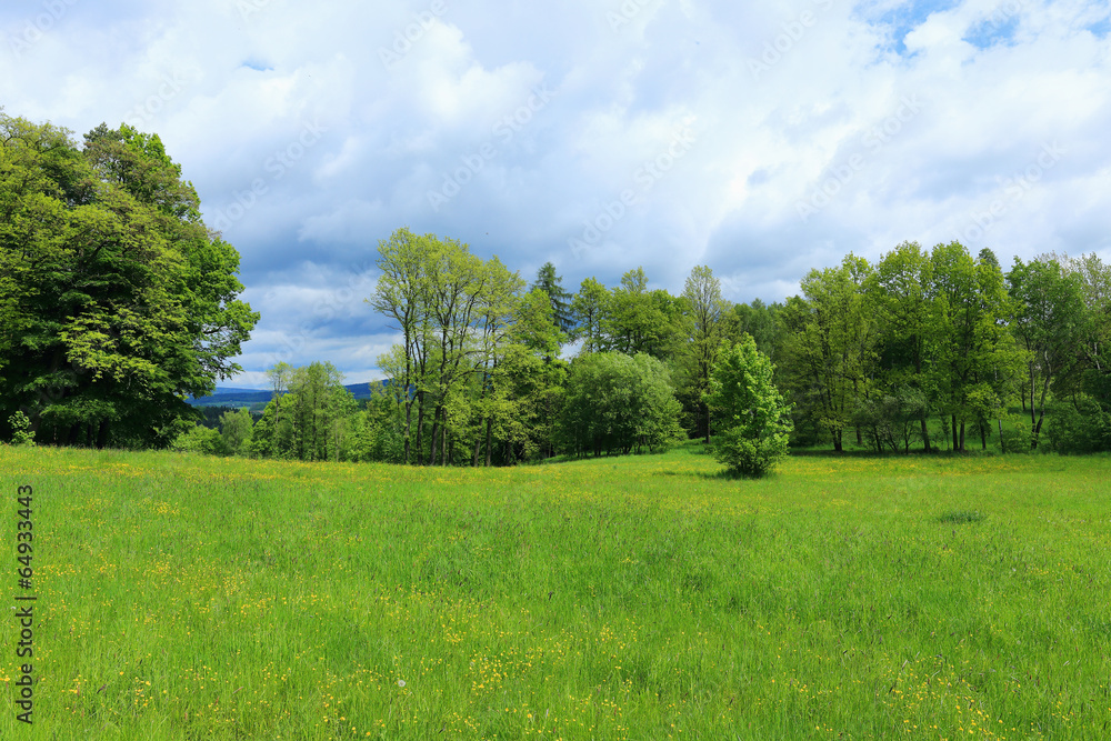 Spring Landscape in Bohemian Paradise, Czech Republic