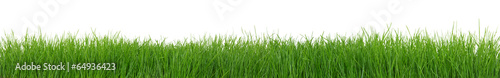 Green grass on white background #64936423