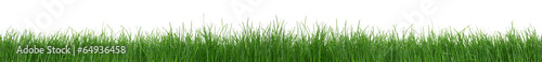 Green grass on white background #64936458