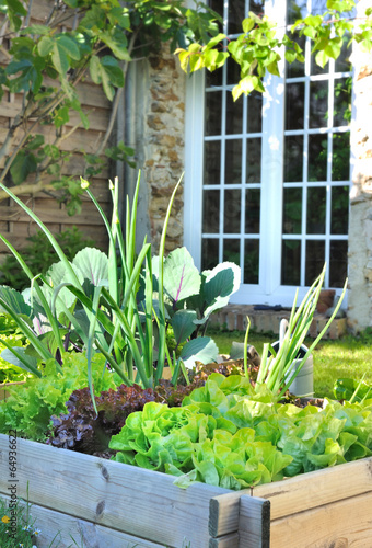 jardin potager