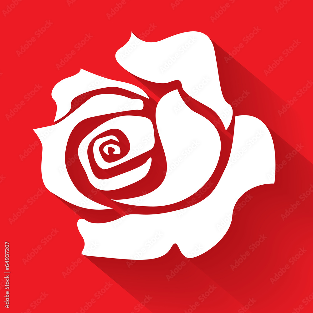 White rose on a red background, illustration White rose on a red background, illustration