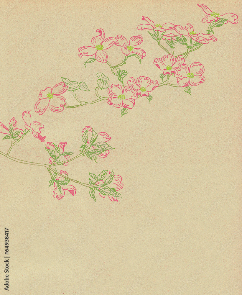 ハナミズキイラスト Stock Illustration Adobe Stock