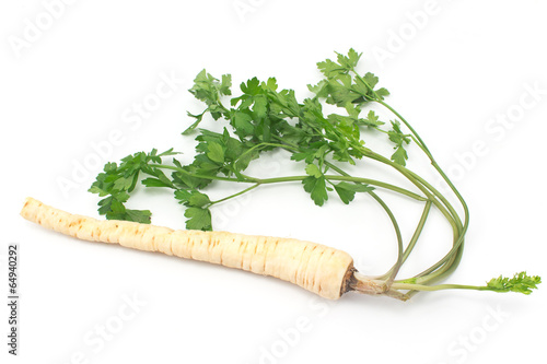 Fresh parsley with root and leaf on white